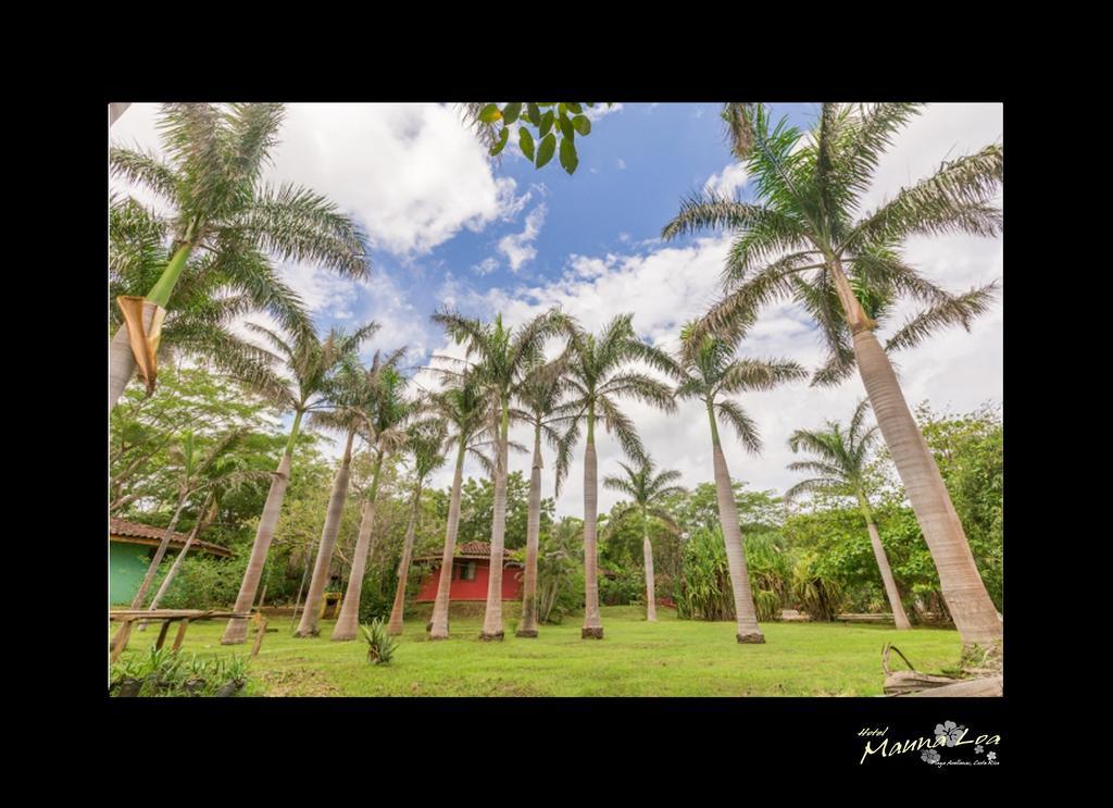Hotel Mauna Loa Pinilla 外观 照片