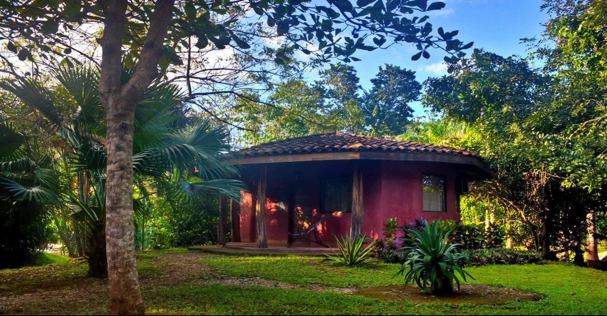 Hotel Mauna Loa Pinilla 外观 照片
